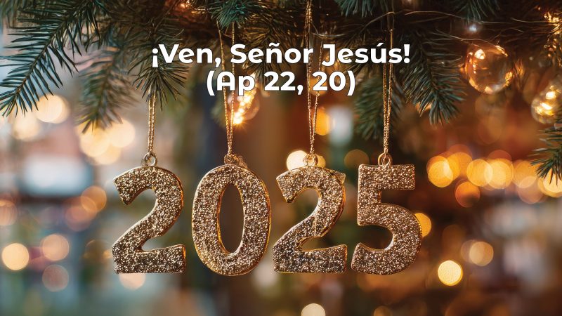 REVISTA PALANCA MES DE DICIEMBRE 2025 REVISTA PALANCA MES DE DICIEMBRE 2025