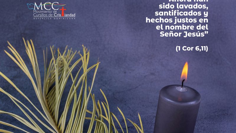 REVISTA PALANCA MES DE MARZO 2026